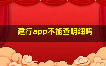 建行app不能查明细吗