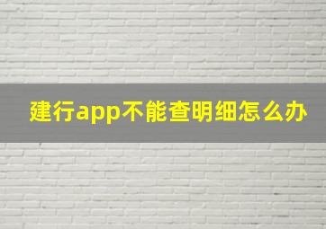 建行app不能查明细怎么办