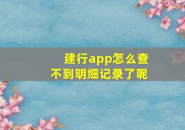 建行app怎么查不到明细记录了呢