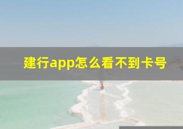 建行app怎么看不到卡号