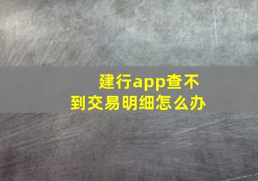 建行app查不到交易明细怎么办