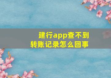 建行app查不到转账记录怎么回事