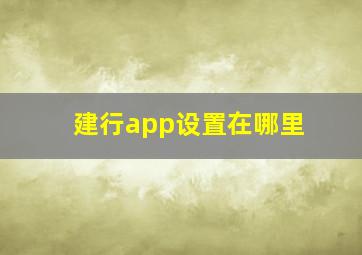 建行app设置在哪里