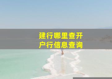 建行哪里查开户行信息查询