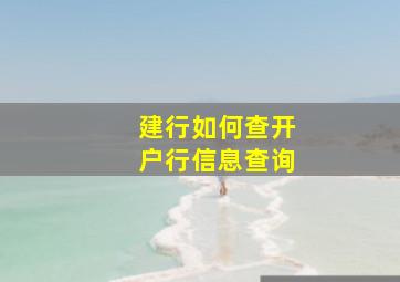 建行如何查开户行信息查询