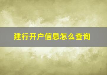 建行开户信息怎么查询