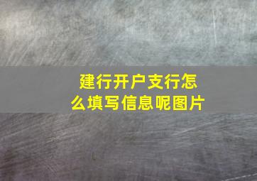 建行开户支行怎么填写信息呢图片