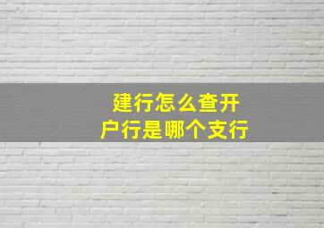 建行怎么查开户行是哪个支行