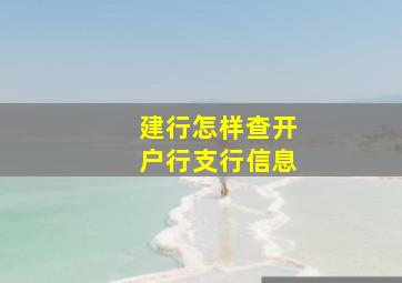 建行怎样查开户行支行信息