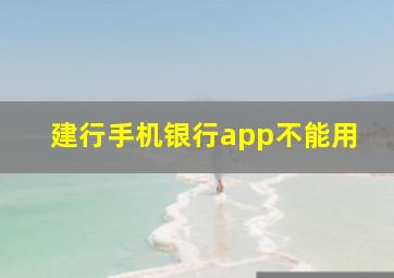 建行手机银行app不能用