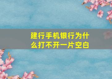 建行手机银行为什么打不开一片空白