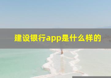 建设银行app是什么样的