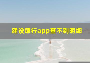 建设银行app查不到明细