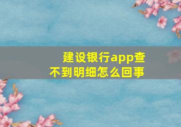 建设银行app查不到明细怎么回事