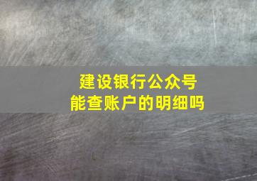 建设银行公众号能查账户的明细吗