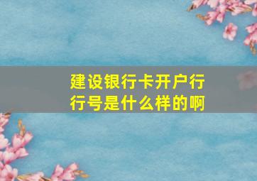 建设银行卡开户行行号是什么样的啊