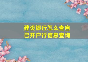 建设银行怎么查自己开户行信息查询