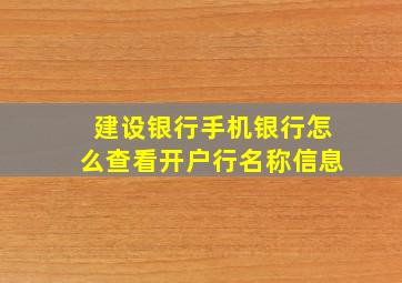 建设银行手机银行怎么查看开户行名称信息