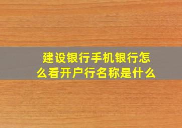 建设银行手机银行怎么看开户行名称是什么