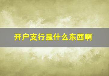 开户支行是什么东西啊