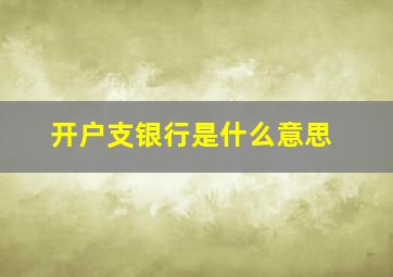 开户支银行是什么意思