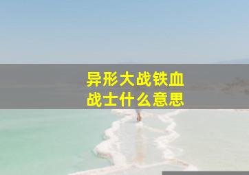 异形大战铁血战士什么意思