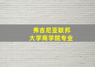 弗吉尼亚联邦大学商学院专业