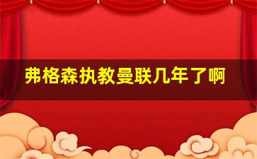 弗格森执教曼联几年了啊