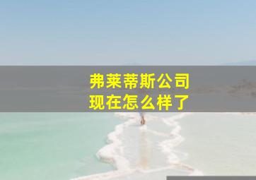 弗莱蒂斯公司现在怎么样了