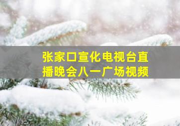 张家口宣化电视台直播晚会八一广场视频