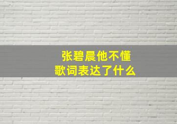 张碧晨他不懂歌词表达了什么