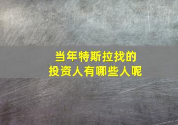 当年特斯拉找的投资人有哪些人呢