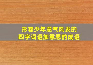 形容少年意气风发的四字词语加意思的成语