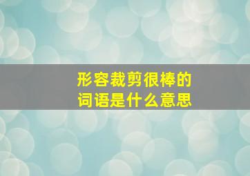 形容裁剪很棒的词语是什么意思