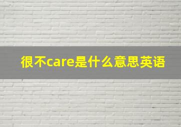 很不care是什么意思英语