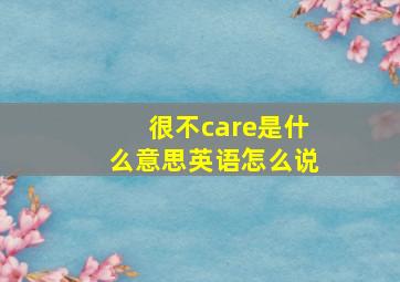 很不care是什么意思英语怎么说