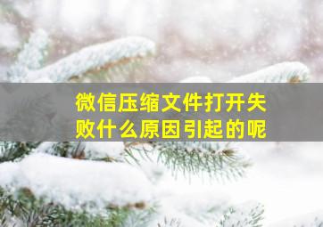 微信压缩文件打开失败什么原因引起的呢