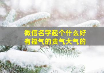 微信名字起个什么好有福气的贵气大气的