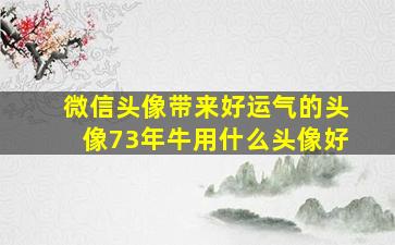 微信头像带来好运气的头像73年牛用什么头像好