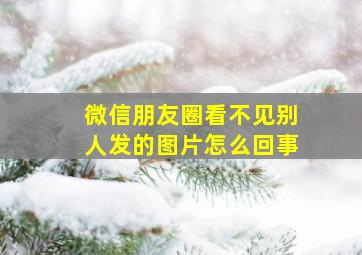 微信朋友圈看不见别人发的图片怎么回事