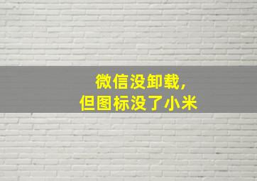 微信没卸载,但图标没了小米