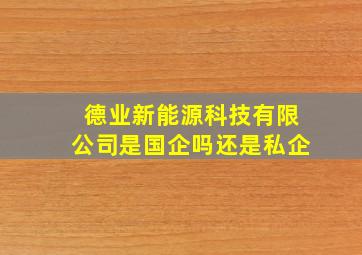 德业新能源科技有限公司是国企吗还是私企