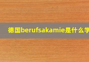 德国berufsakamie是什么学校