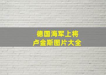 德国海军上将卢金斯图片大全