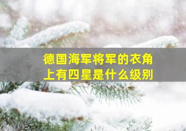 德国海军将军的衣角上有四星是什么级别