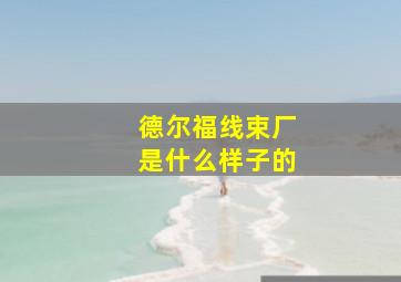 德尔福线束厂是什么样子的