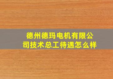 德州德玛电机有限公司技术总工待遇怎么样