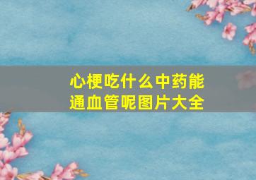 心梗吃什么中药能通血管呢图片大全