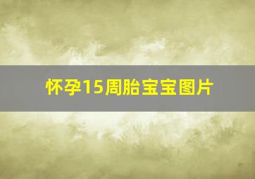 怀孕15周胎宝宝图片