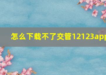 怎么下载不了交管12123app